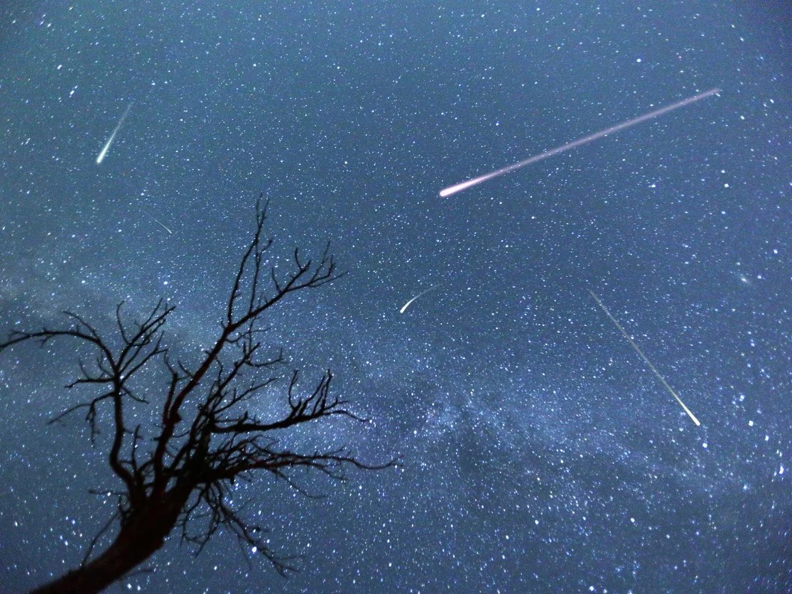 Is There A Meteor Shower Tonight Scotland at Robert Carlson blog